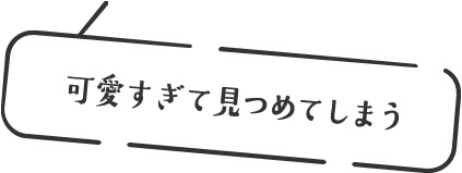 可愛すぎて見つめてしまう