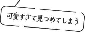 可愛すぎて見つめてしまう