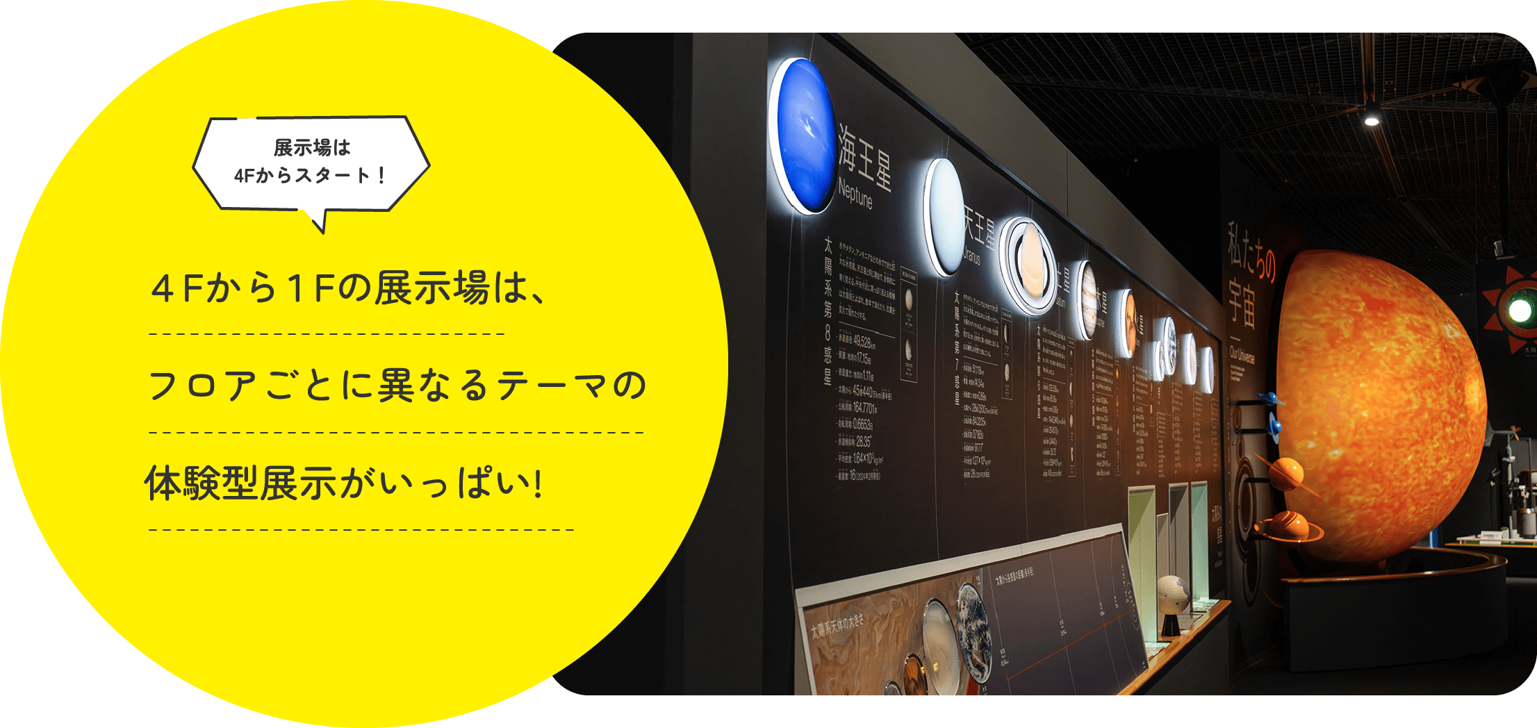 4Fから1Fの展示場は、フロアごとに異なるテーマの体験型展示がいっぱい!